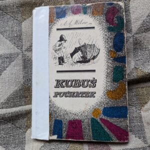 Classic Winnie the Pooh irena tuwim kubuś puchatek edition illustrations oldschool vintage