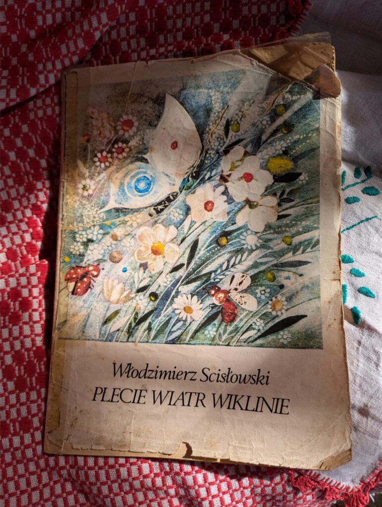retro nostalgic chic childhood polish soviet era