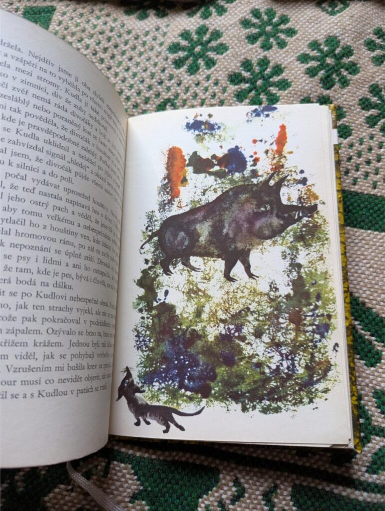 Olga Cehova Painter artist czech books