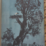 Vintage Polish Books Covers Art unmatched till today